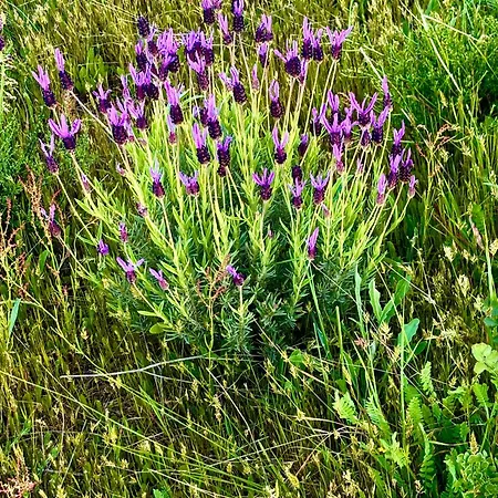 Hotel Terraplen Seis Boutique 5*