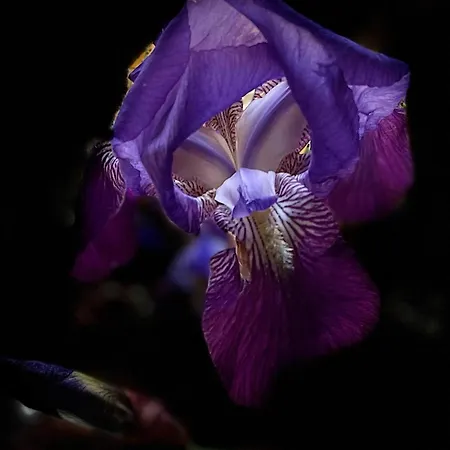 Hotel Terraplen Seis Boutique 5*