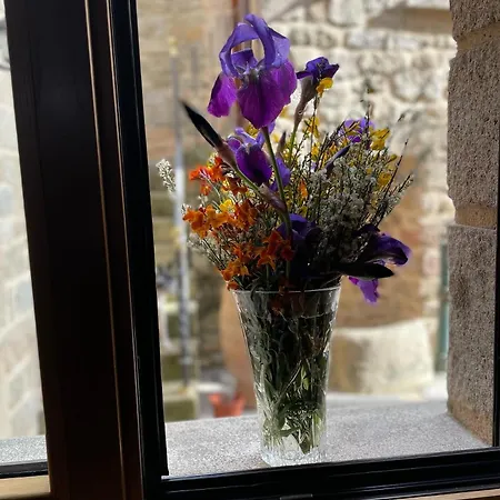 Hotel Terraplen Seis Boutique