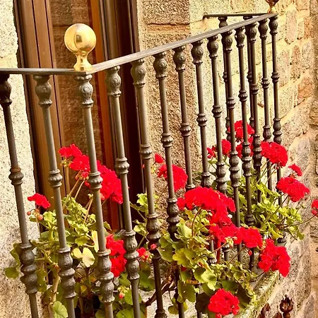 Terraplen Seis Boutique Hotel