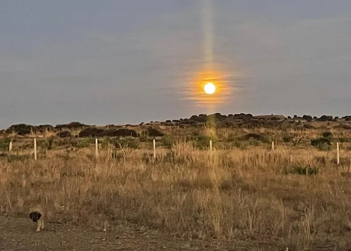 Terraplen Seis Boutique 5*