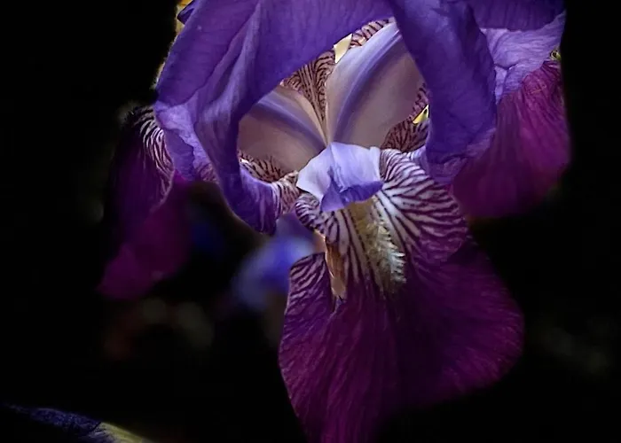 호텔 Terraplen Seis Boutique 5*