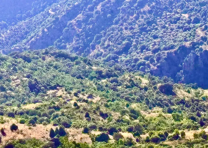 Terraplen Seis Boutique 퍼모셀